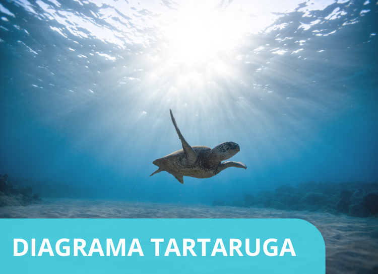 Como fazer mapeamento de processos com Diagrama Tartaruga